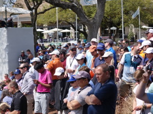 Gallery watching the Day-Mcllroy match on final hole
